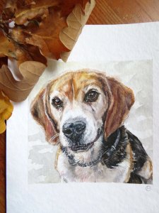 Email me for commissions!