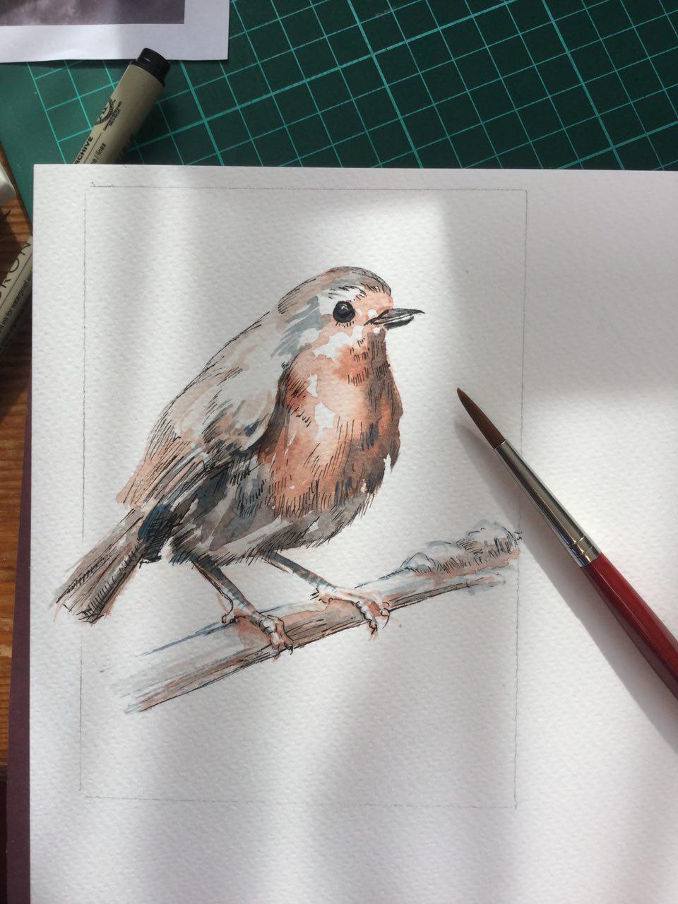 laura carter illustration robin