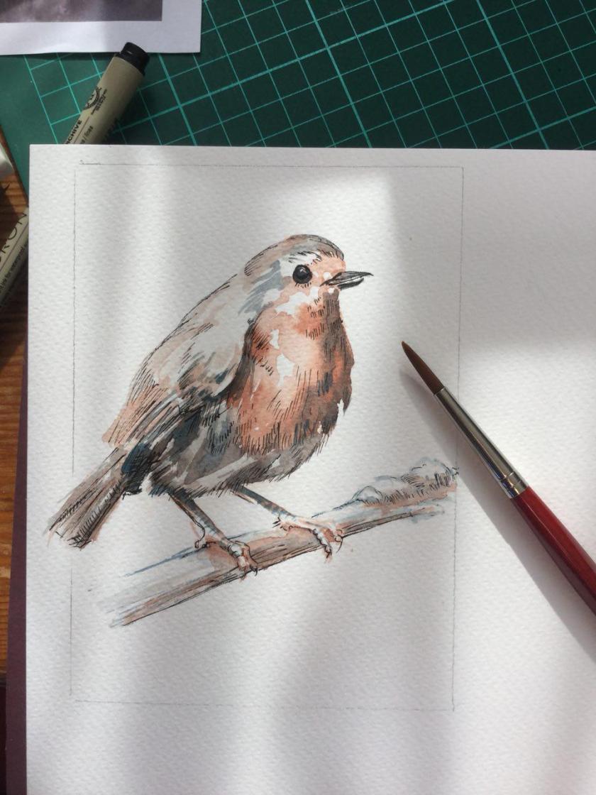 laura carter illustration robin