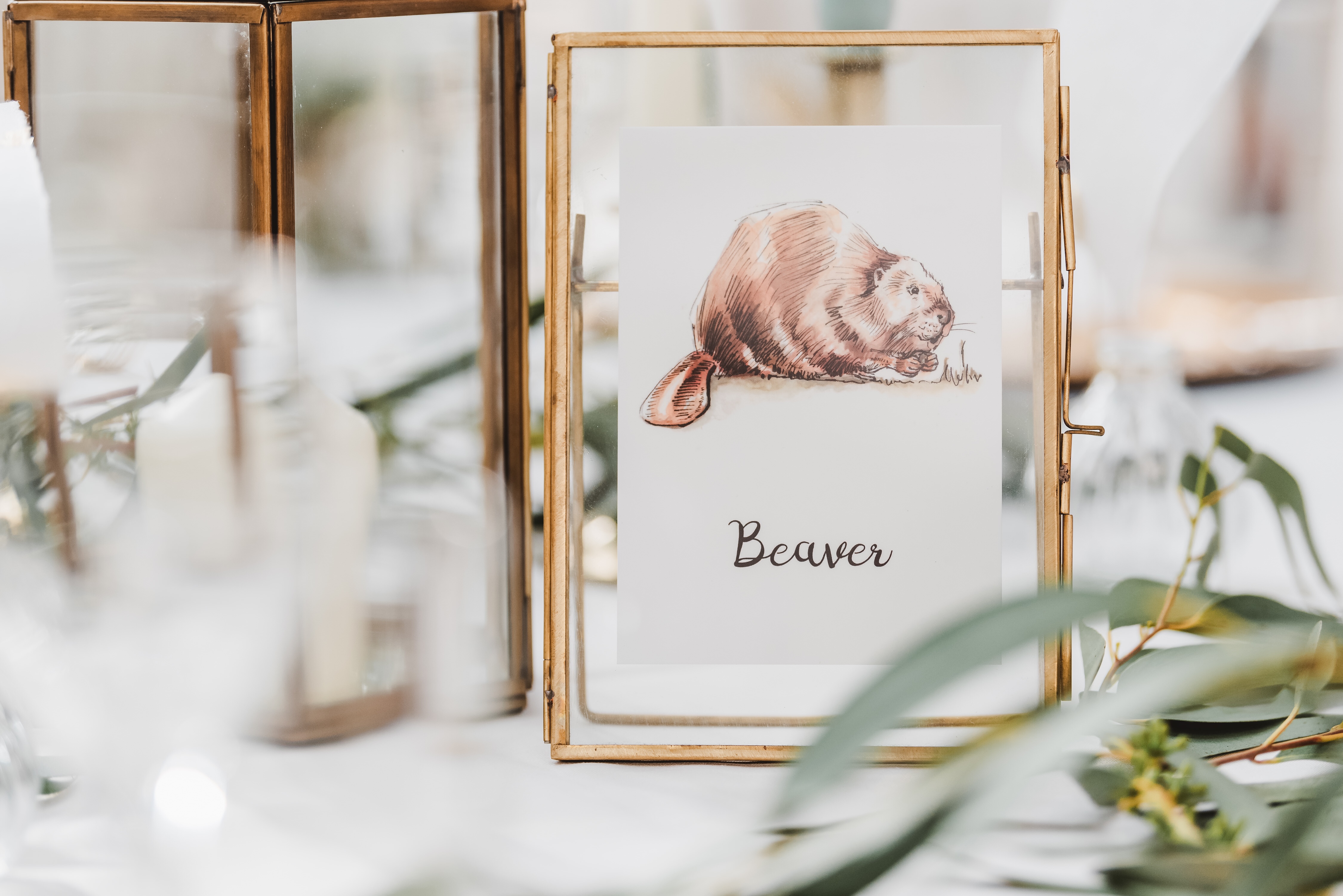 Illustratorlaura on Etsy