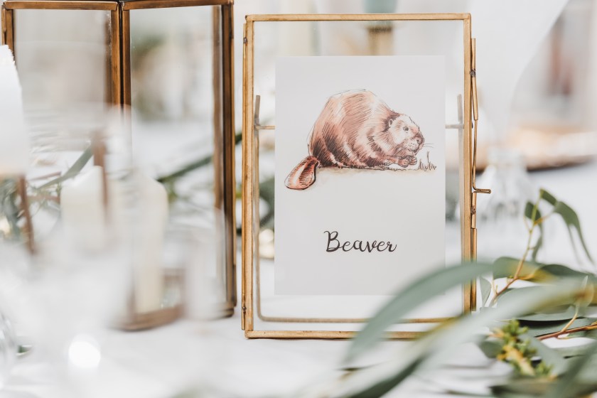 Illustratorlaura on Etsy