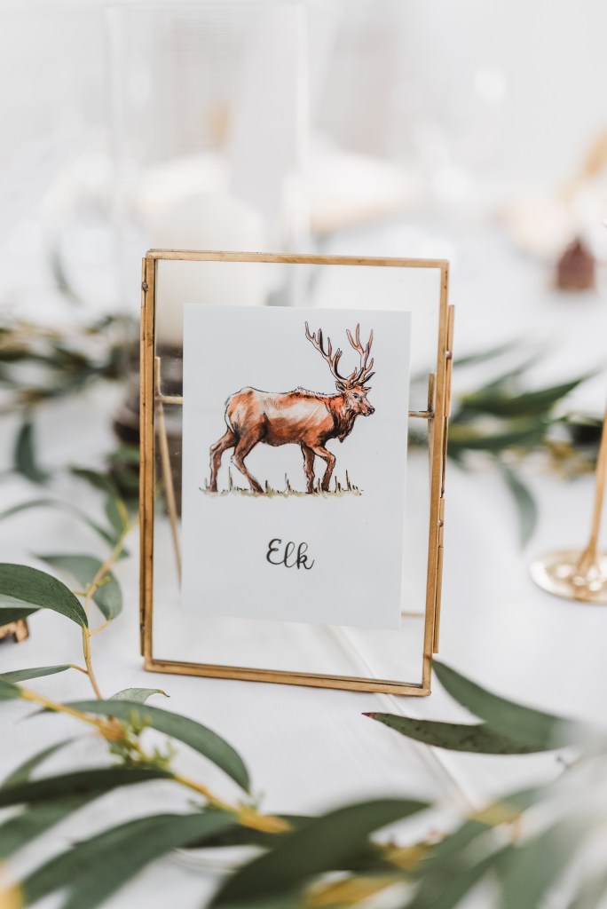 Laura Carter Illustration