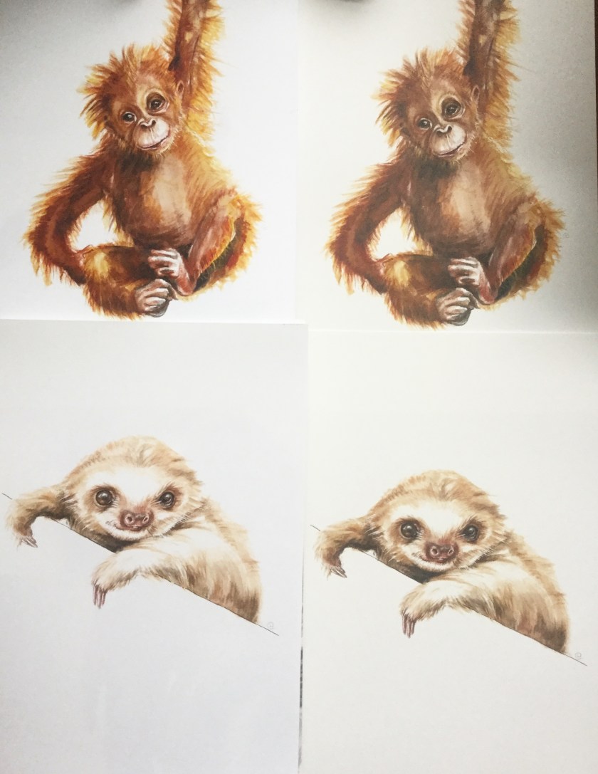 Biotop v regular fineart print paper