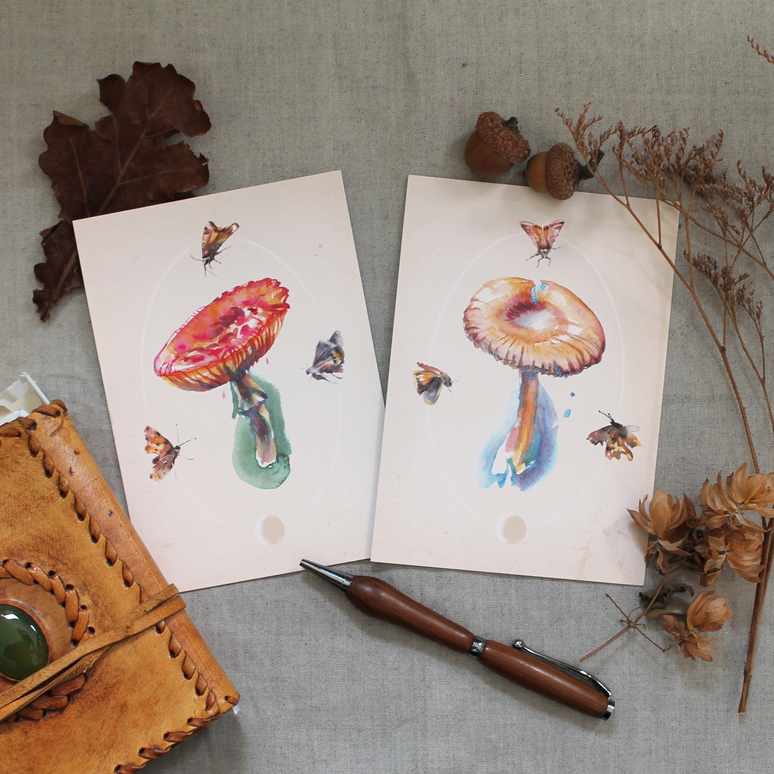 Postcard set botanical toadstools